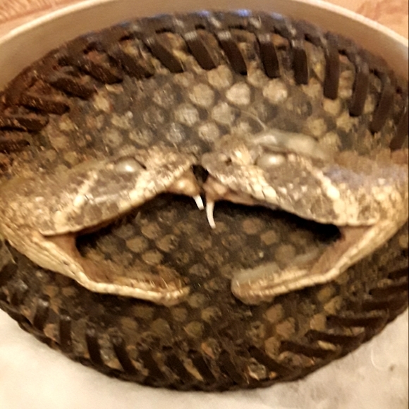 Hand Crafted Other - 1970's Vintage Double Snake Head Belt Buckle